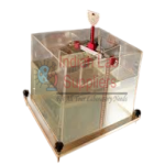 Stability of Floating Body Apparatus